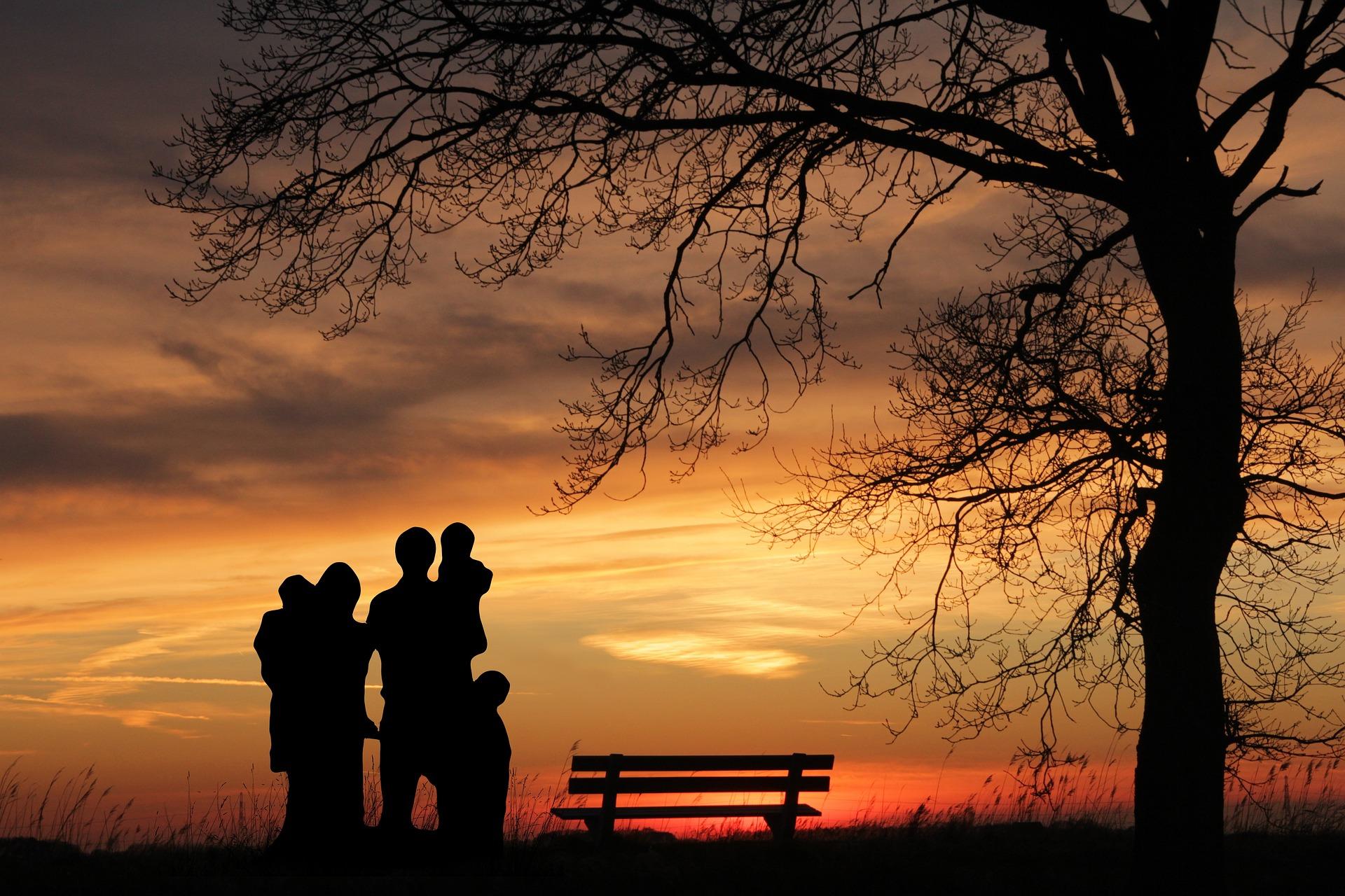 family_restoration