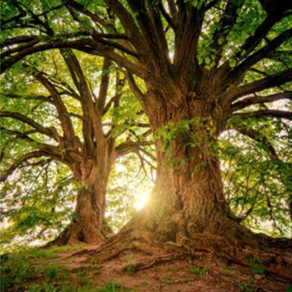 Grounding